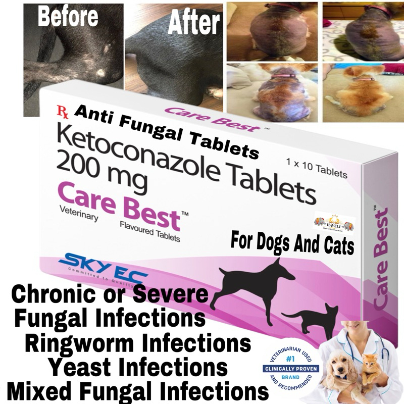 Sky Ec Care Best Ketoconazole Fungal Infections Oral Tablets 10Tabs