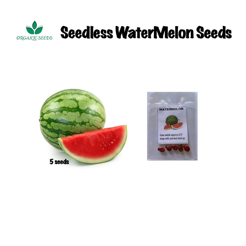 Seedless WaterMelon (5pcs seeds) Shopee Philippines