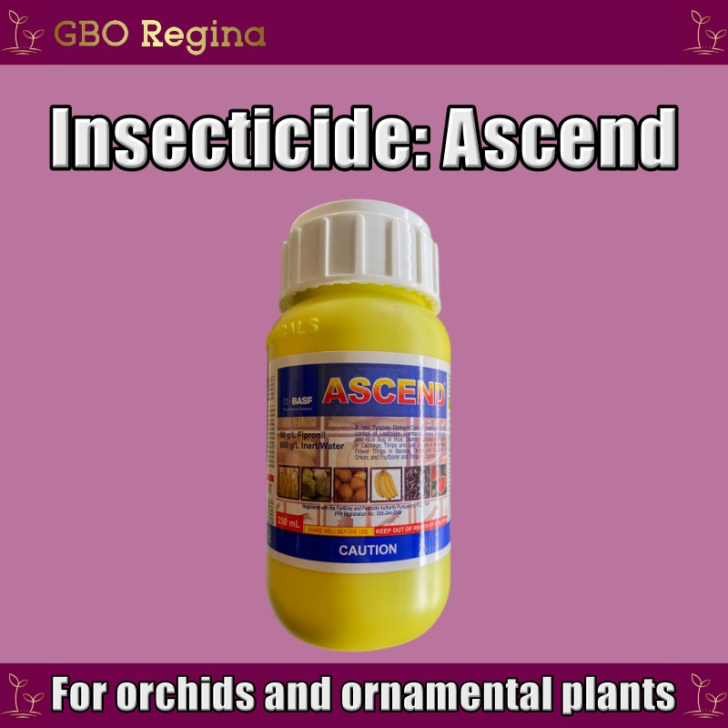 Plant Supplement Insecticide Ascend 250ml (for orchids and ornamental plants) Shopee Philippines