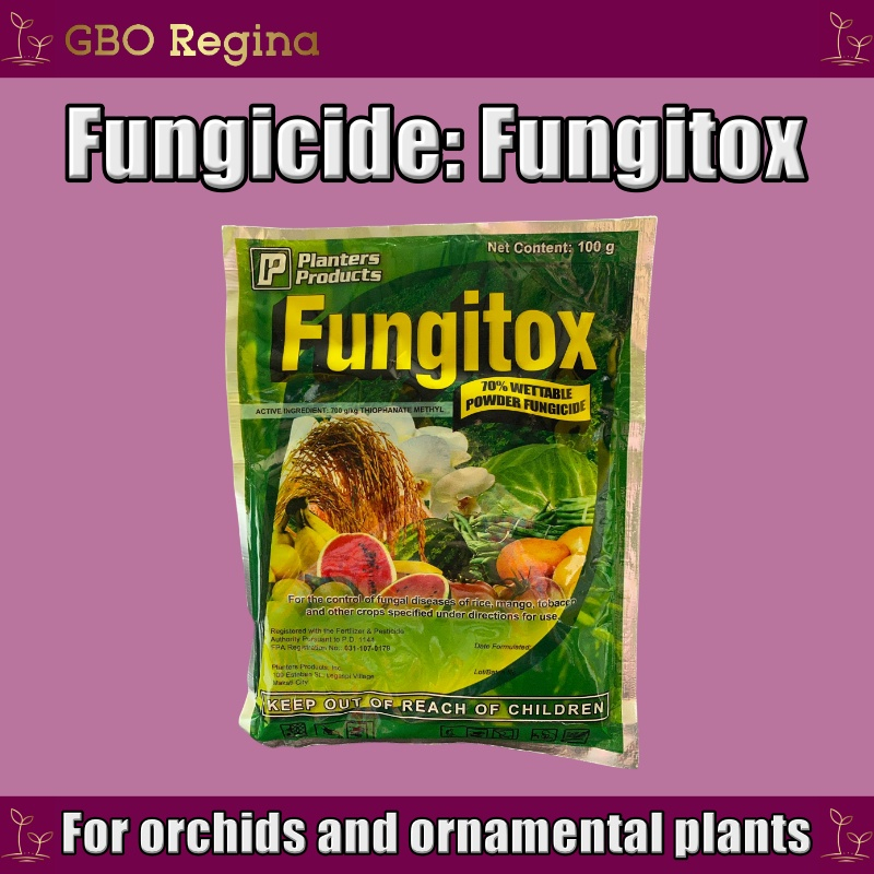 Plant Supplement Fungicide Fungitox 100g (for orchids and ornamental