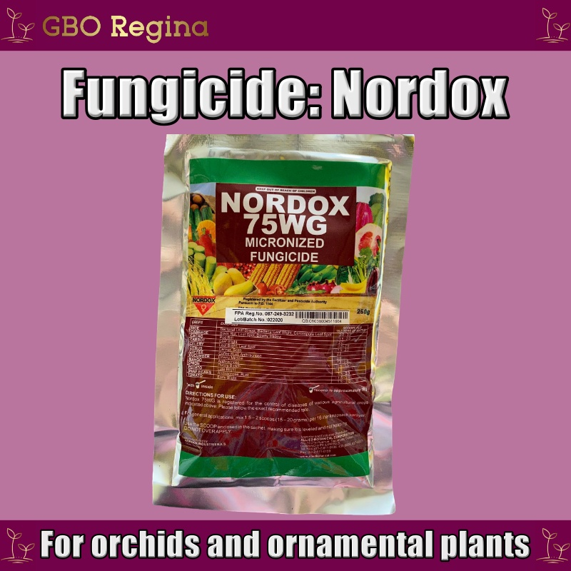 Plant Supplement Fungicide Nordox 250g (for orchids and ornamental