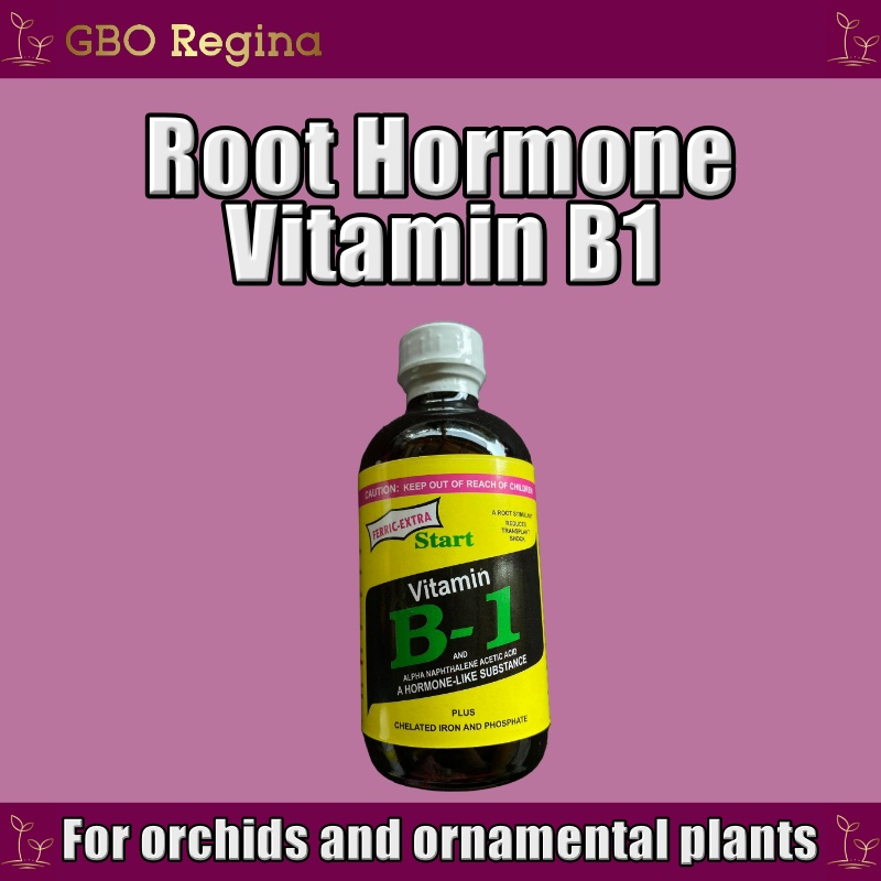 Plant Supplement Root Hormone Vitamin B1 100mL (Pampaugat ng halaman) Shopee Philippines