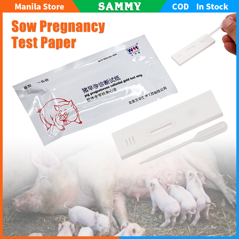 Early Pregnancy Diagnostic Tool For Pigs Sow Pregnancy Test Paper Early