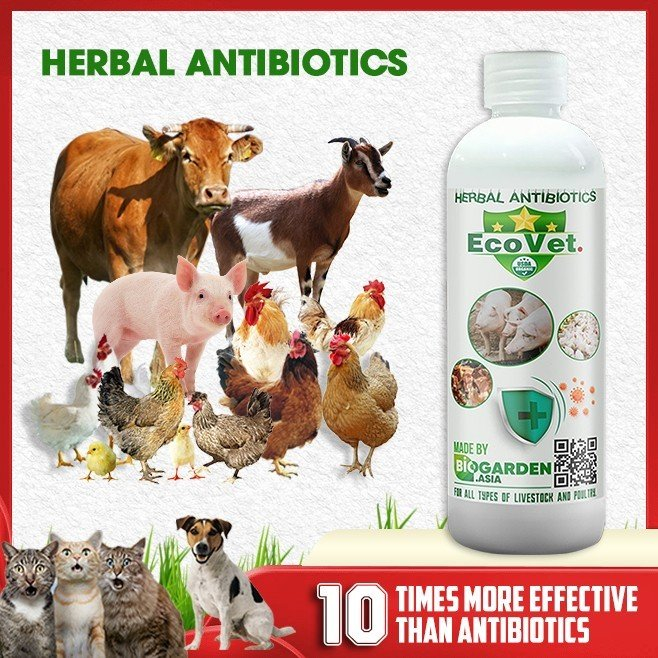 Ecovet 250g - Pulbos na Suplemento ng Probiotic, Mahalagang Nutrisyon ...