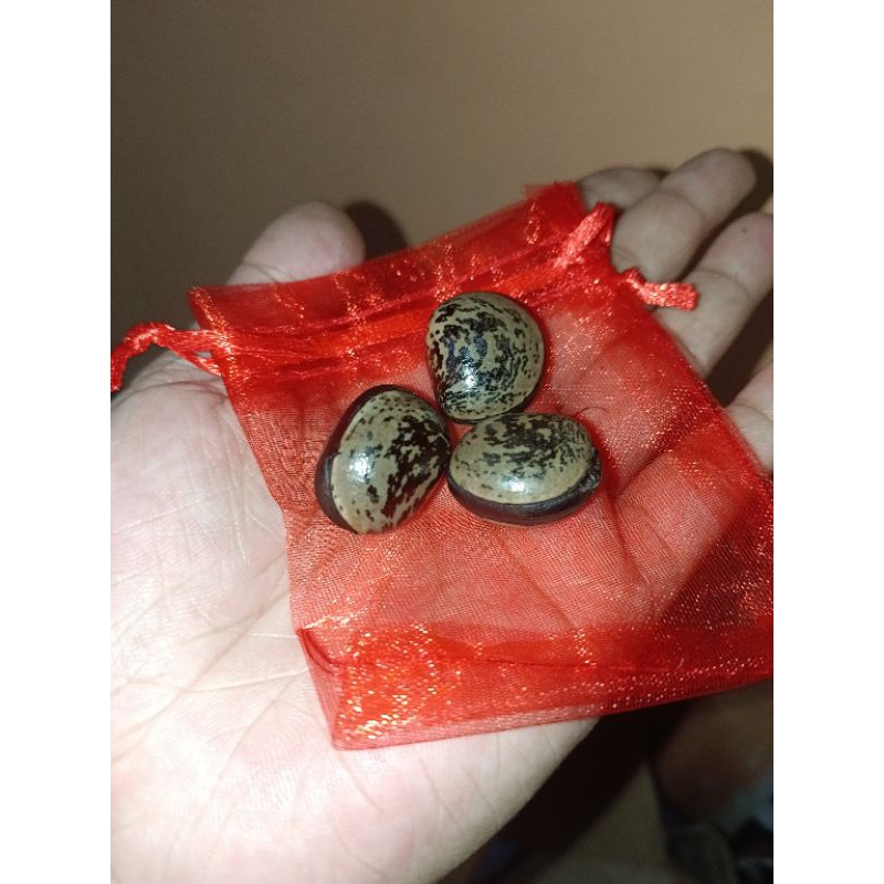 hapi bag lucky charms | Shopee Philippines