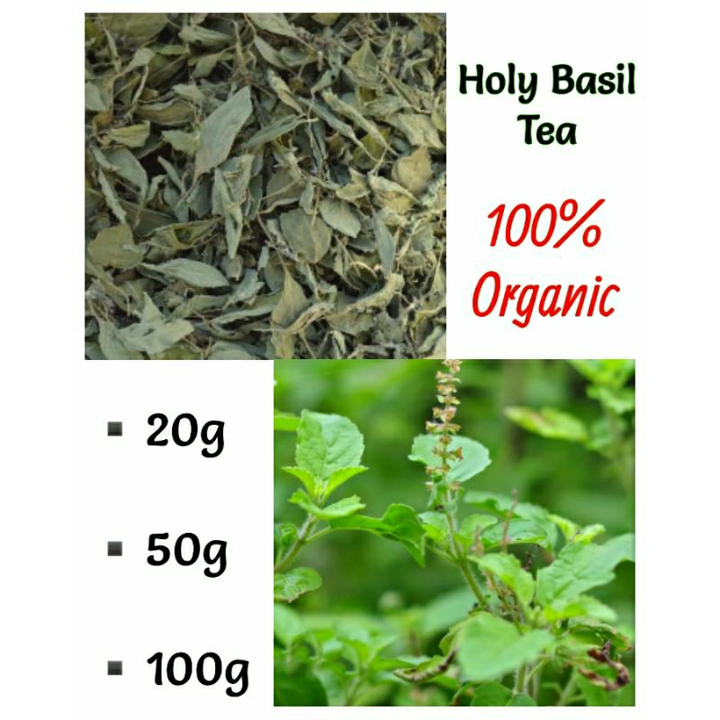 Holy Basil Tea, Dried Holy Basil Shopee Philippines