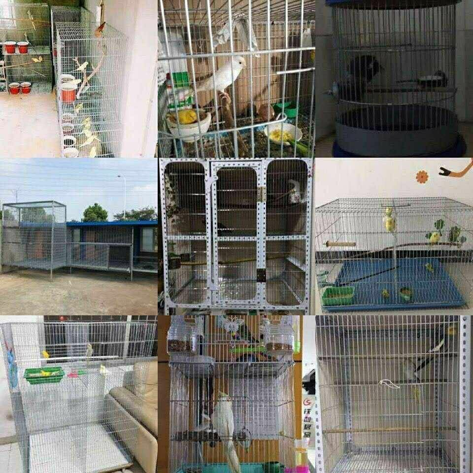 Galvanized wire mesh pigeon cage, bird cage quail long hole welded