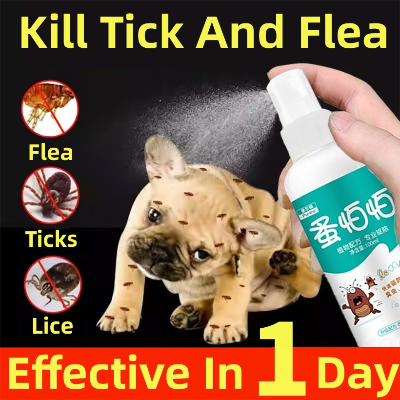 Anti Flea And Tick For Dogs Spray Tick And Flea Remover Anti Tick And