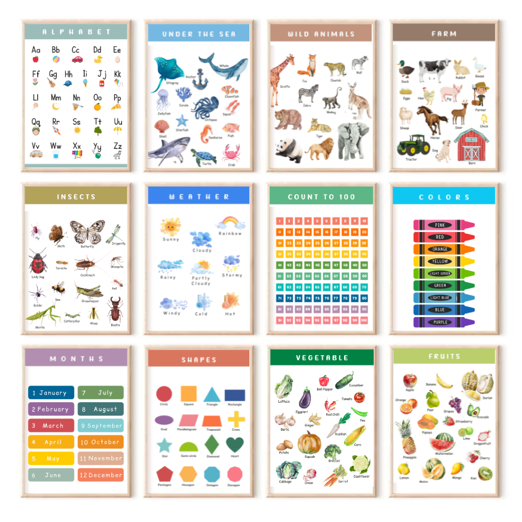 A4 Laminated Educational Poster, Educational Chart for kids toddler ...