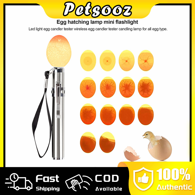 1/2/5Pcs Egg Candling Lamp Incubator Egg Tester LED Flashlight Pen