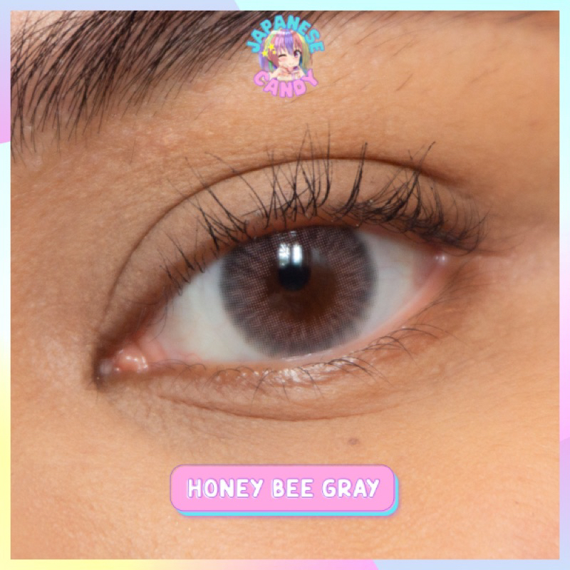 Kitty Kawaii 6 Months Honey Bee Gray Contact Lens + Free Lens Case ...