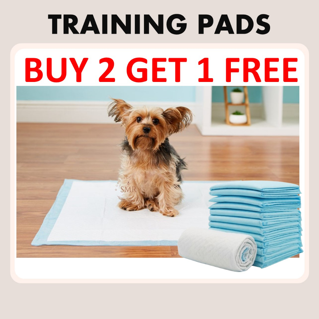 PROMO BUY2GET1 FREE Super Absorbent Pet Pad Training Pads Training Pee