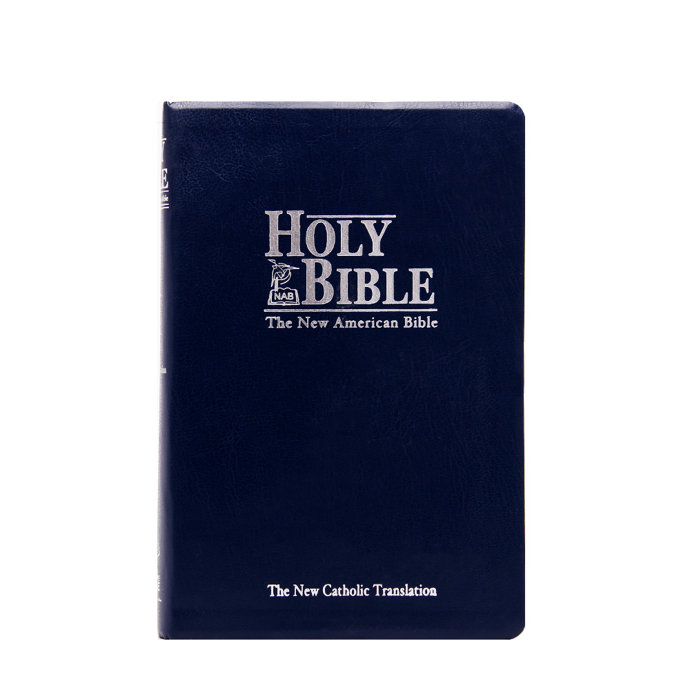 Bible house new american bible catholic edition silver edge with