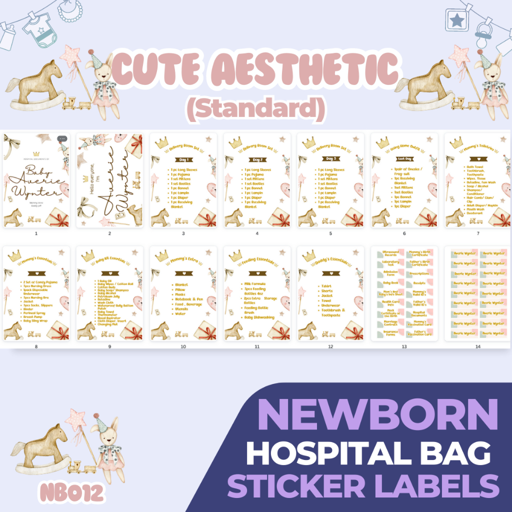 CUTE AESTHETIC [NB012] Newborn Checklist Hospital Bag Sticker - Main Image