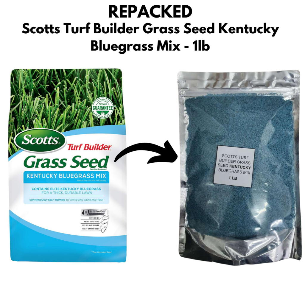 Scotts Turf Builder Grass Seed Kentucky Bluegrass Mix 1lb REPACKED