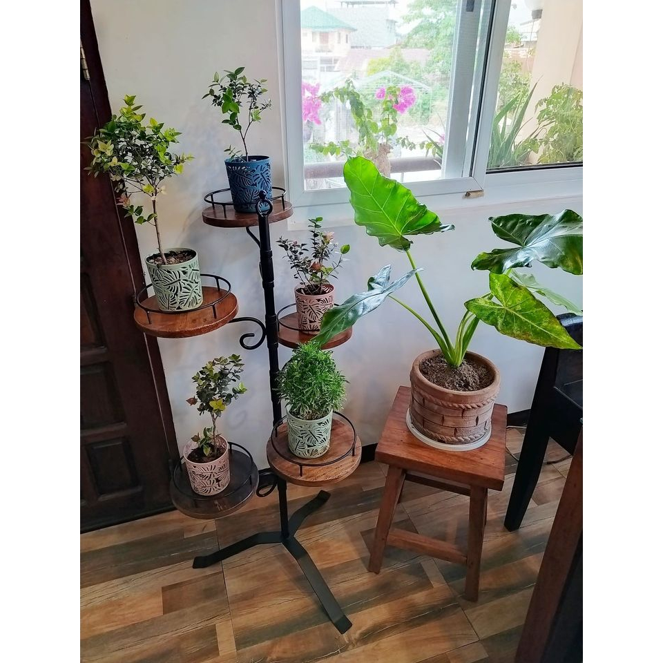 5 Layer Rotating Planter Stand | Shopee Philippines