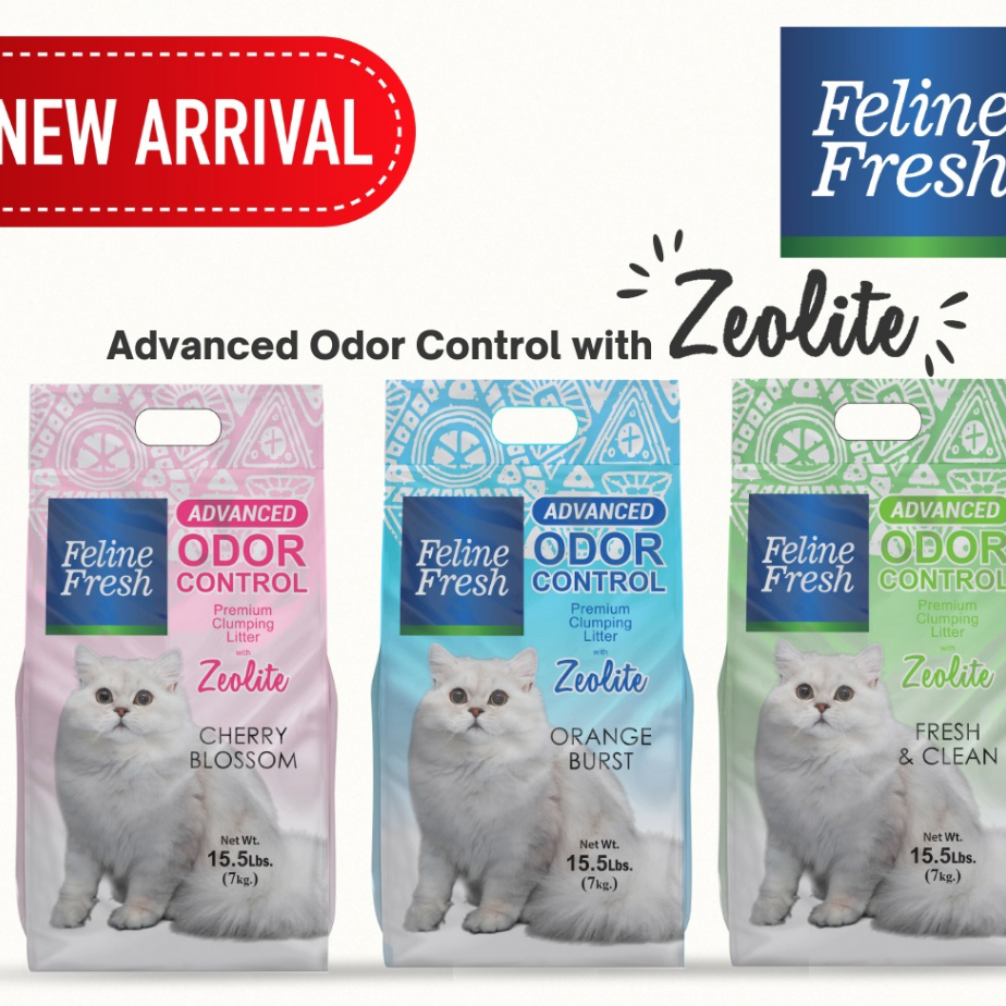 Zeolite croque cat litter deodorizer