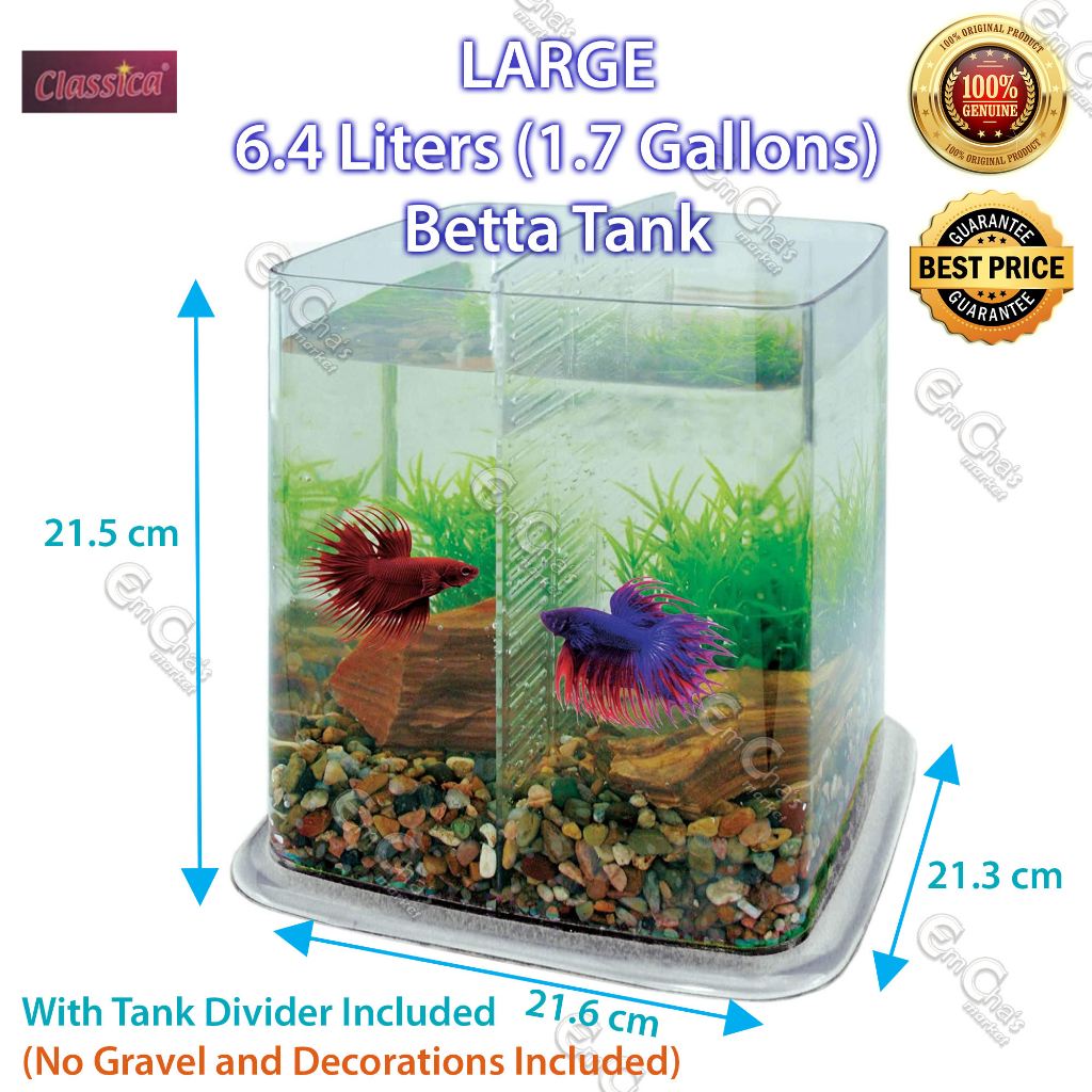 Large Classica Betta Battle Paradise 6.4 Liters Betta Fish Aquarium