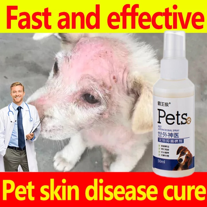 Pet Anti fungal Spray 50ml Dog Skin Disease Treatment Dog Allergies ...