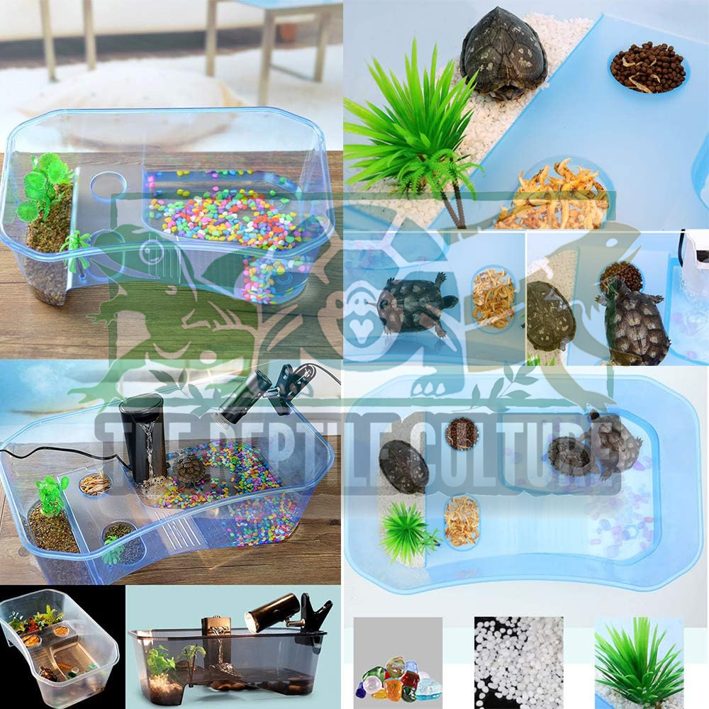 Turtle Tank Terrarium Vivarium Water Turtle Terrapin Box Tortoise Basin ...
