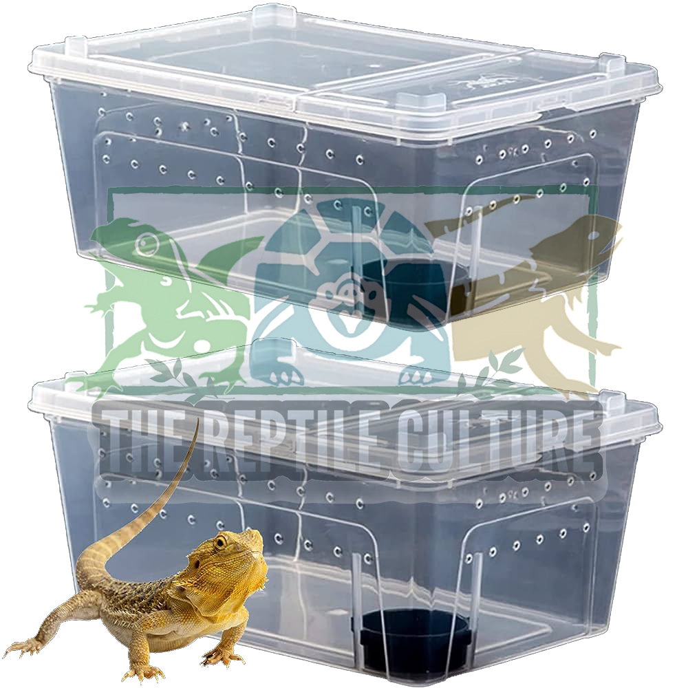 Reptile Breeding Feeding Box Plastic Enclosure Stackable Terrarium