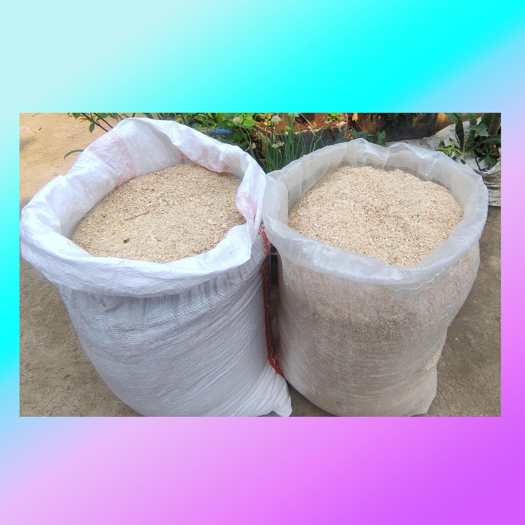 Fine Saw Dust Kust for Plant Substrate / Alternative for Cat Litter 5