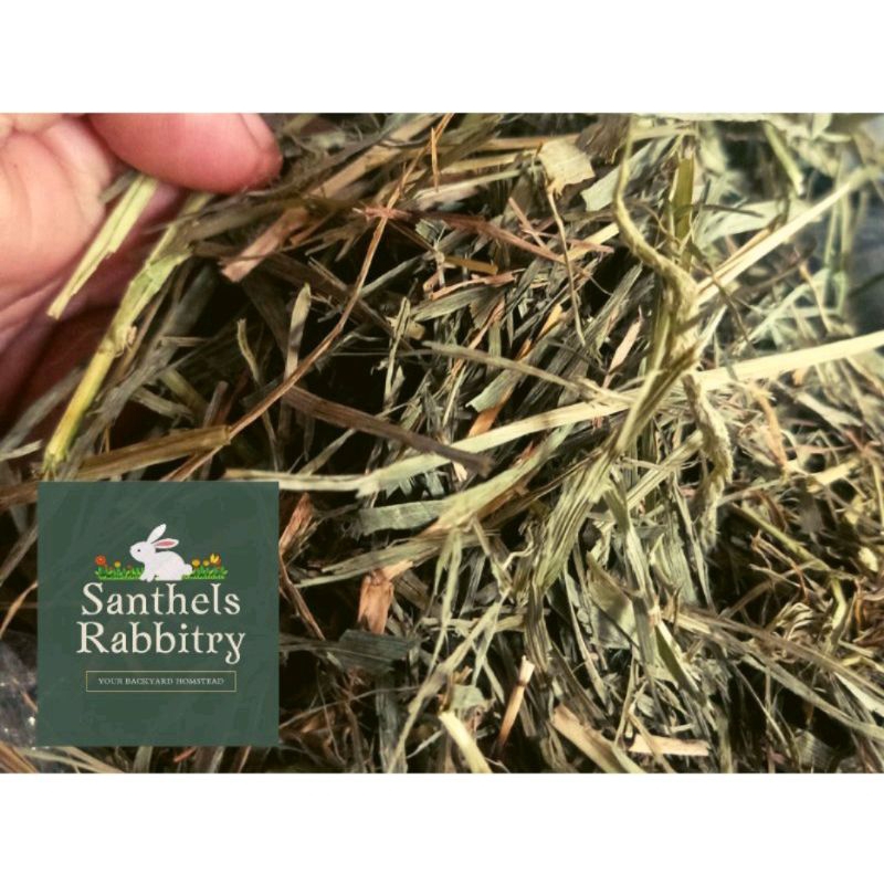 TIMOTHY HAY PREMIUM FOR RABBIT, HAMSTER GUINEA PIG, GOAT, HORSE AND ...
