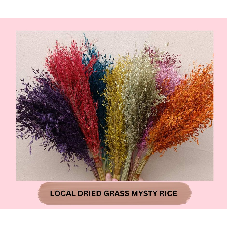 Dried Flower Grass Misty Rice / Love Grass for Flower Arrangements and ...