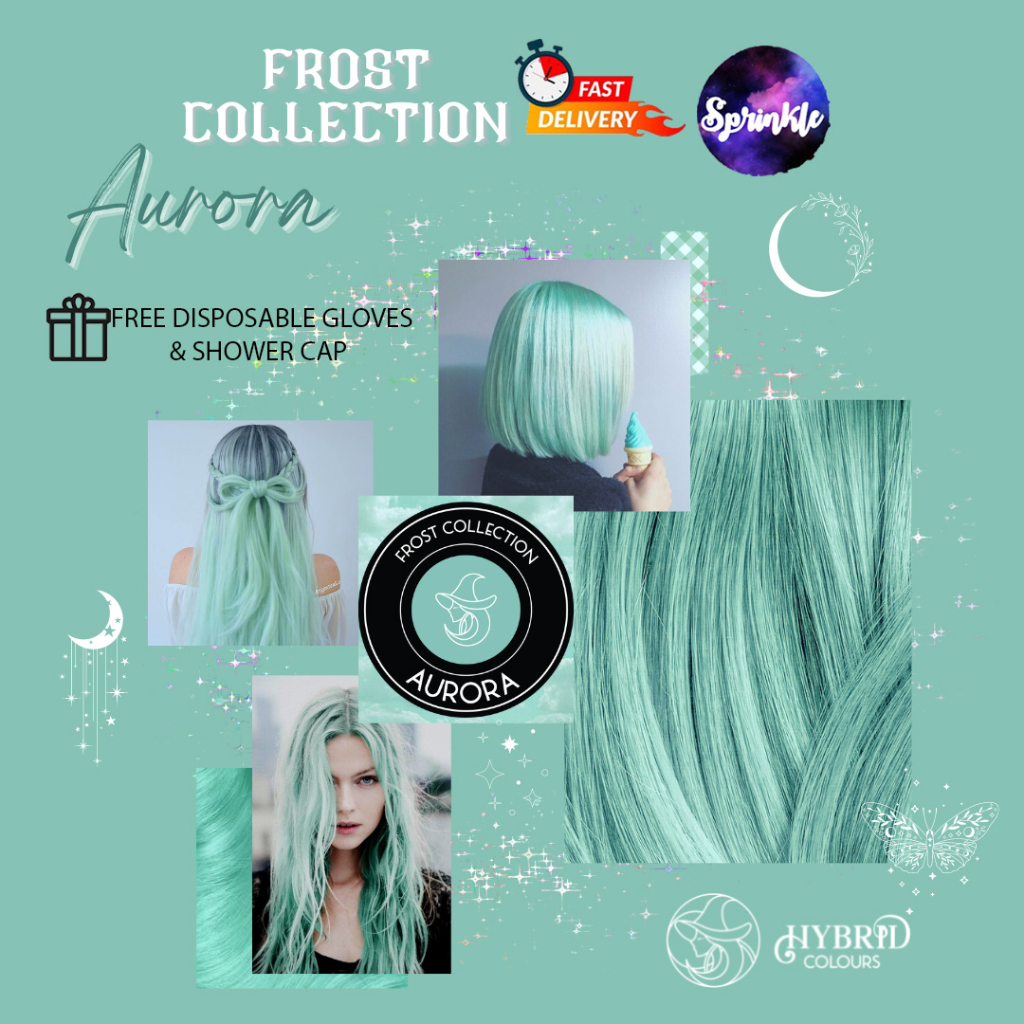 FROST COLLECTION AURORA ORGANIC HAIR DYE 150 G | Shopee Philippines