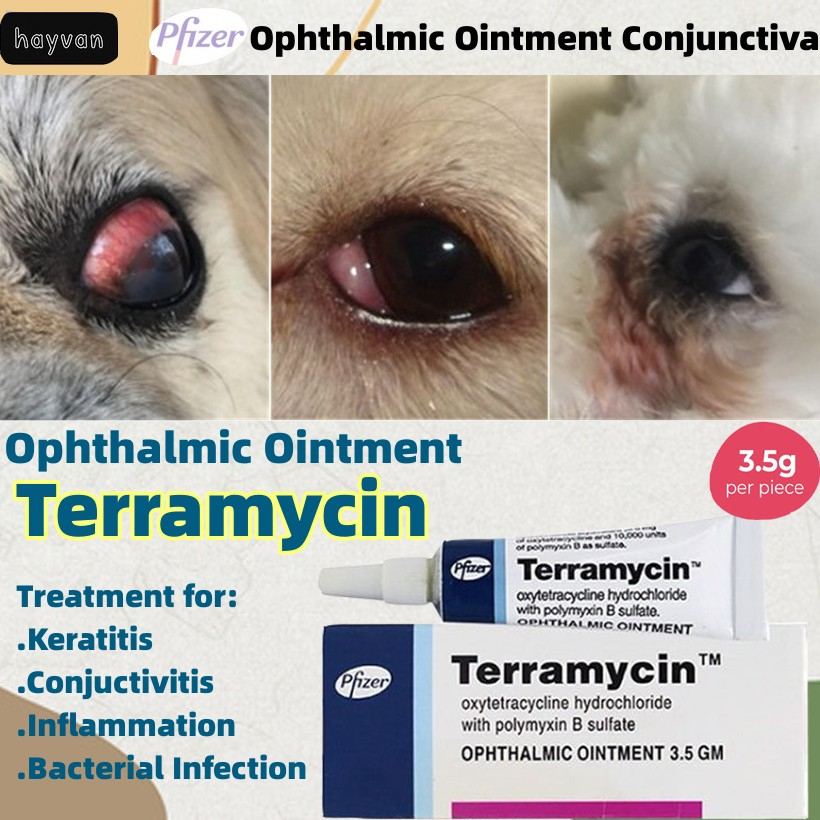 Pfizer Terramycin Ophthalmic Ointment For Cat Dog Conjunctiva for Pets