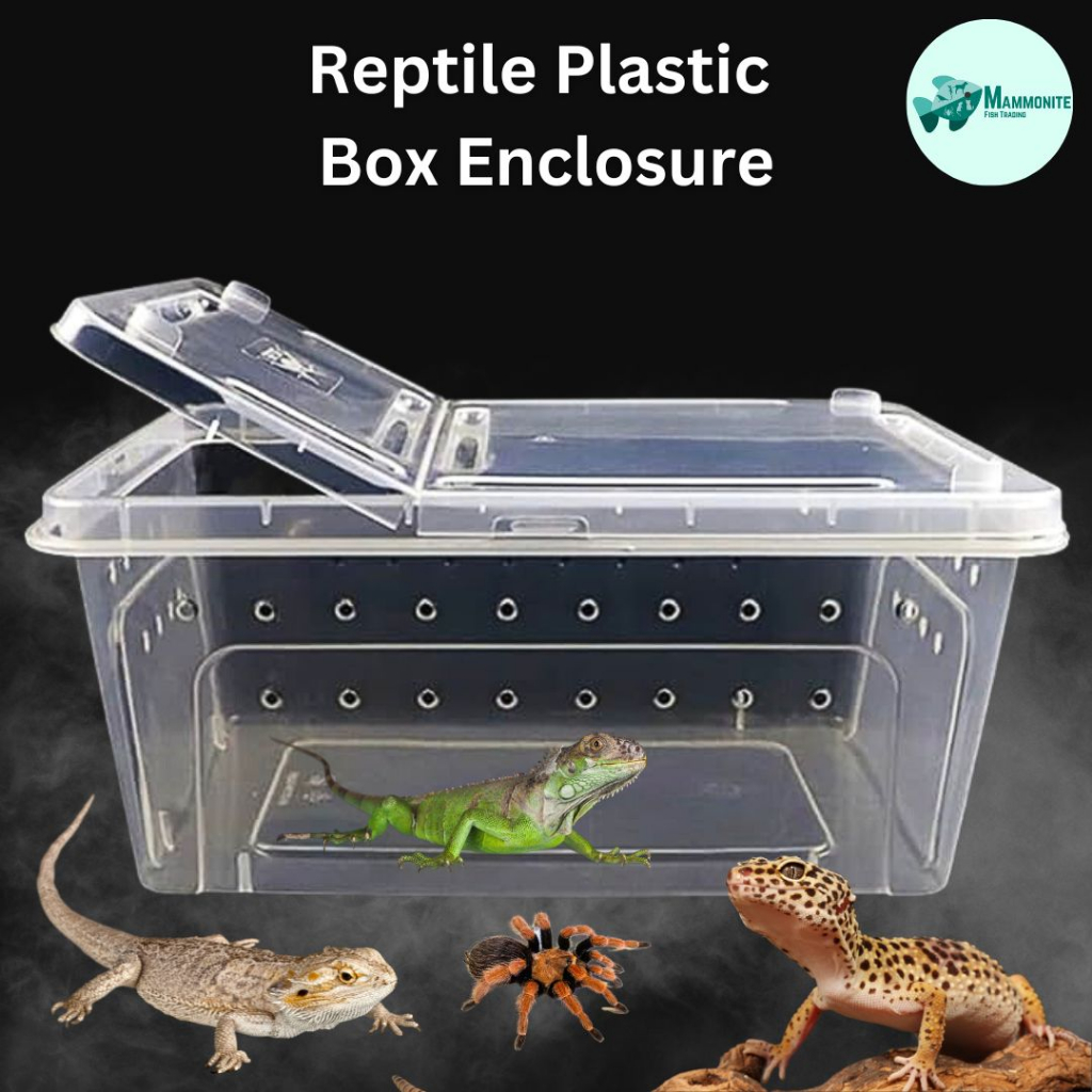 Plastic Transparent Amphibian Insect Reptile Breeding Box Transport ...