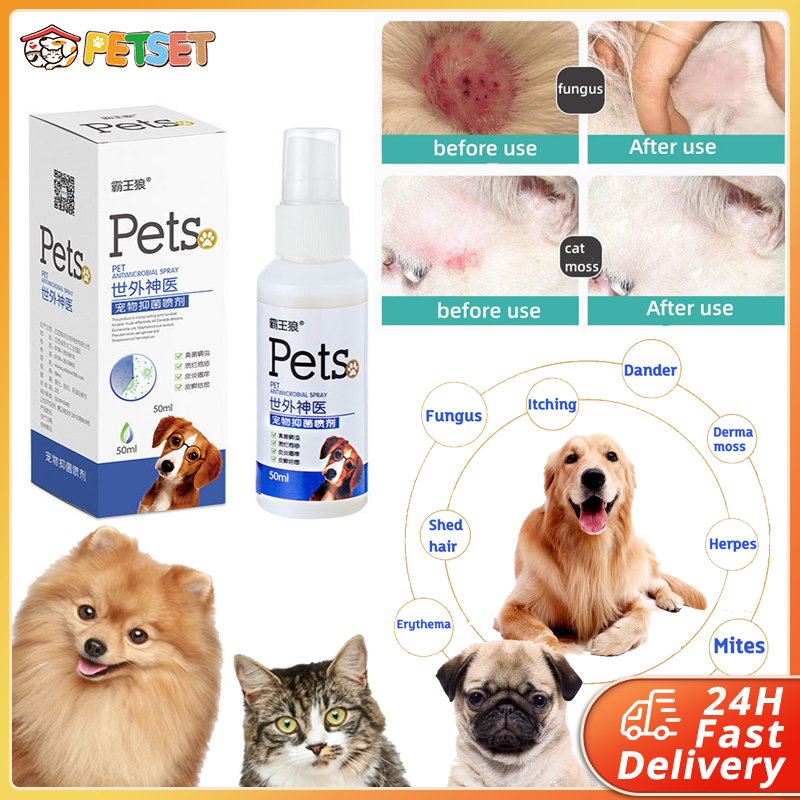 50ML Pet Antibacterial Spray Pet Dog Skin Disease Spray Itchy Cat