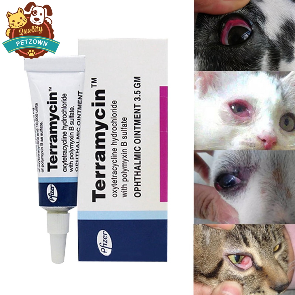 Terramycin Ophthalmic Ointment Conjunctiva For Dogs And Cats Pet Eye ...