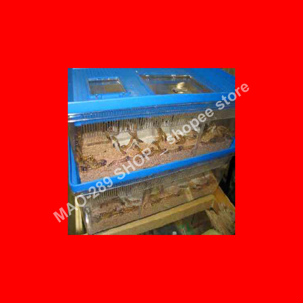 SW reptile food, fish food, bird feed (50g) Shopee Philippines