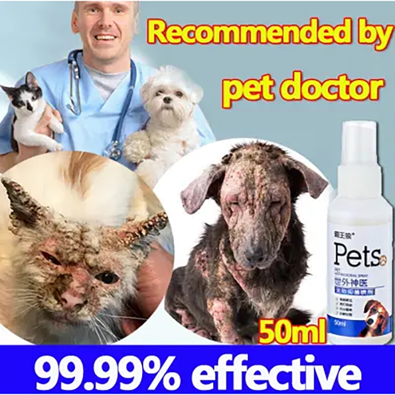 50ml Pet Skin Antibacterial Spray Pet Dog Skin Disease Spray Itchy Cat