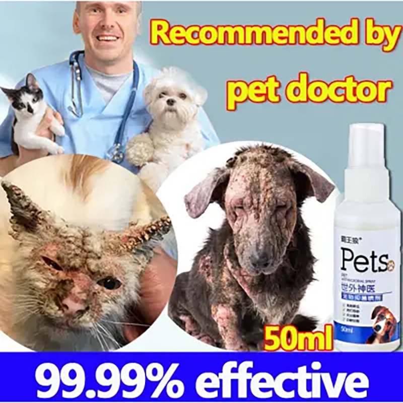 50ml Pet Skin Antibacterial Spray Pet Dog Skin Disease Spray Itchy Cat ...