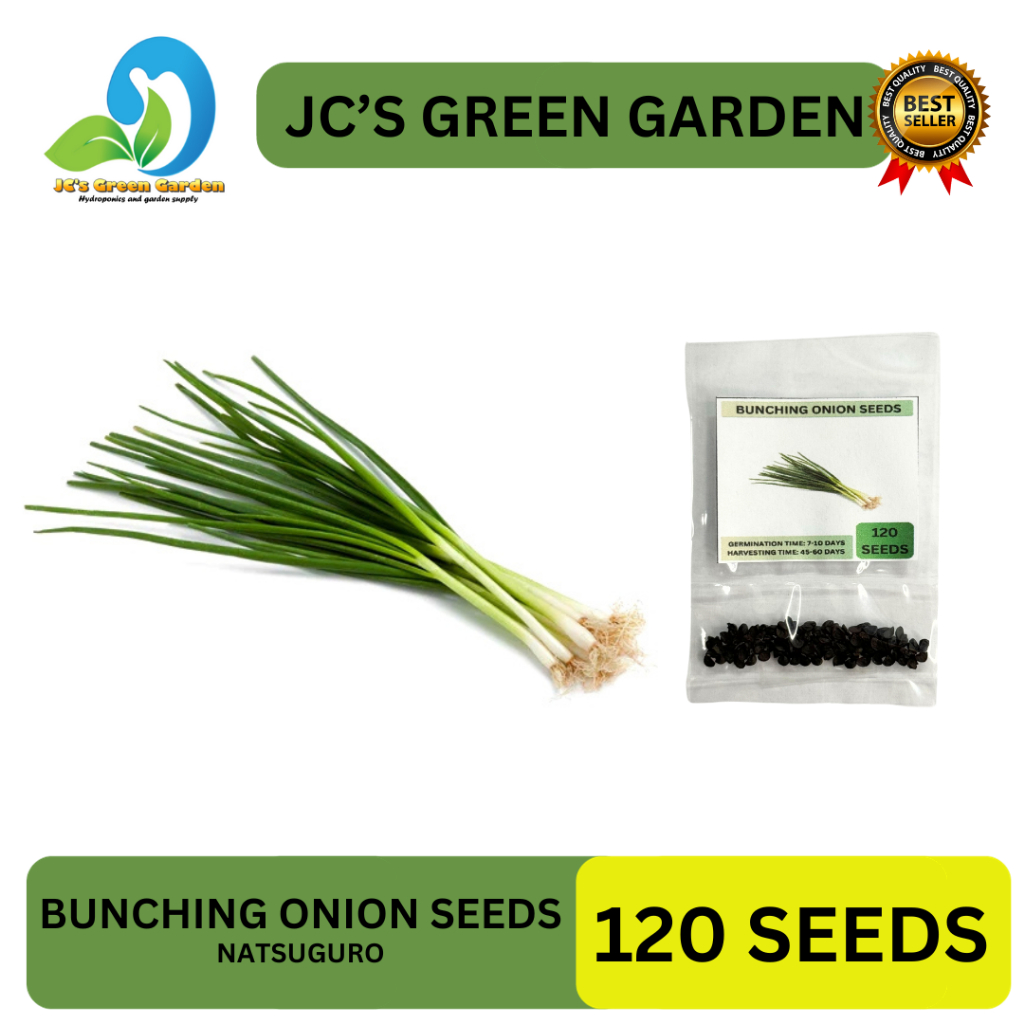 120 Seeds Dahon Ng Sibuyasbunching Onionjakkou Varietyeasy To Grow