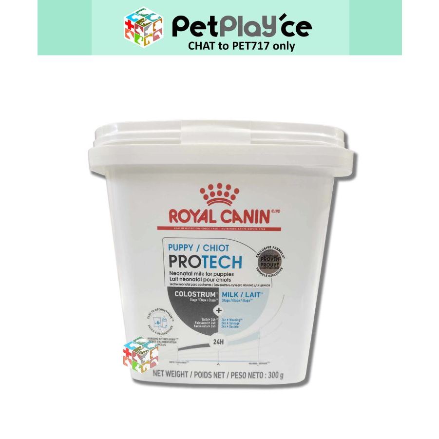 Royal best sale canin powder