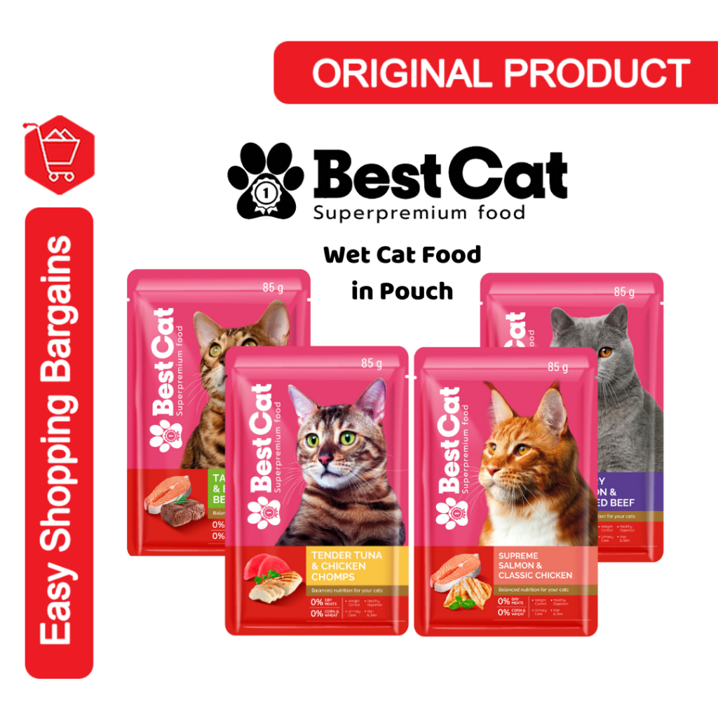 Best wet cat food hotsell