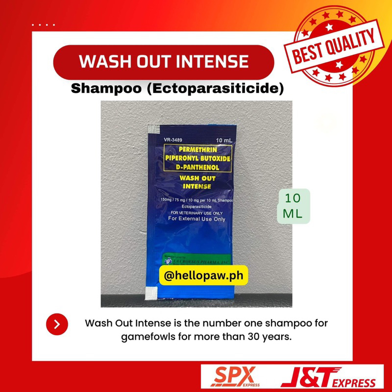 Wash Out Shampoo 10ml (ACTUAL PHOTO) | Shopee Philippines