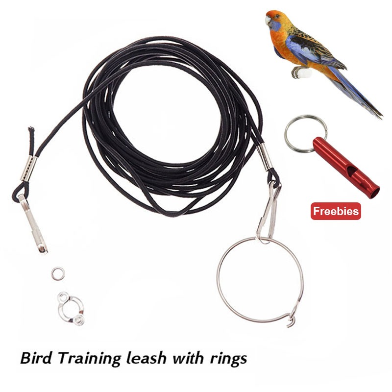 5ft Flexible Birds Flying Rope with training ring Bird Leash for Parrot ...