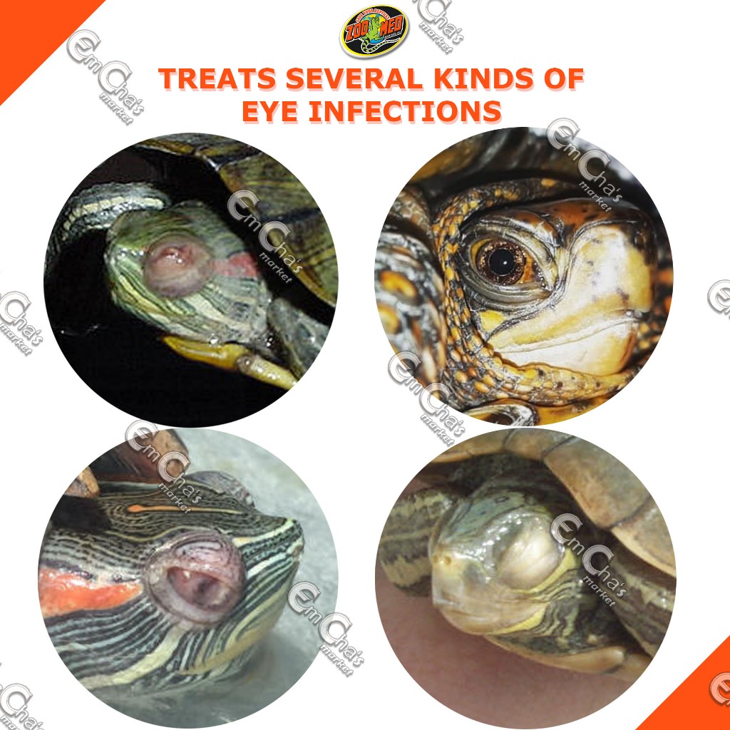 Zoo Med Repti Turtle Eye Drops 64ml for Turtle's Eye Infection (rptam ...
