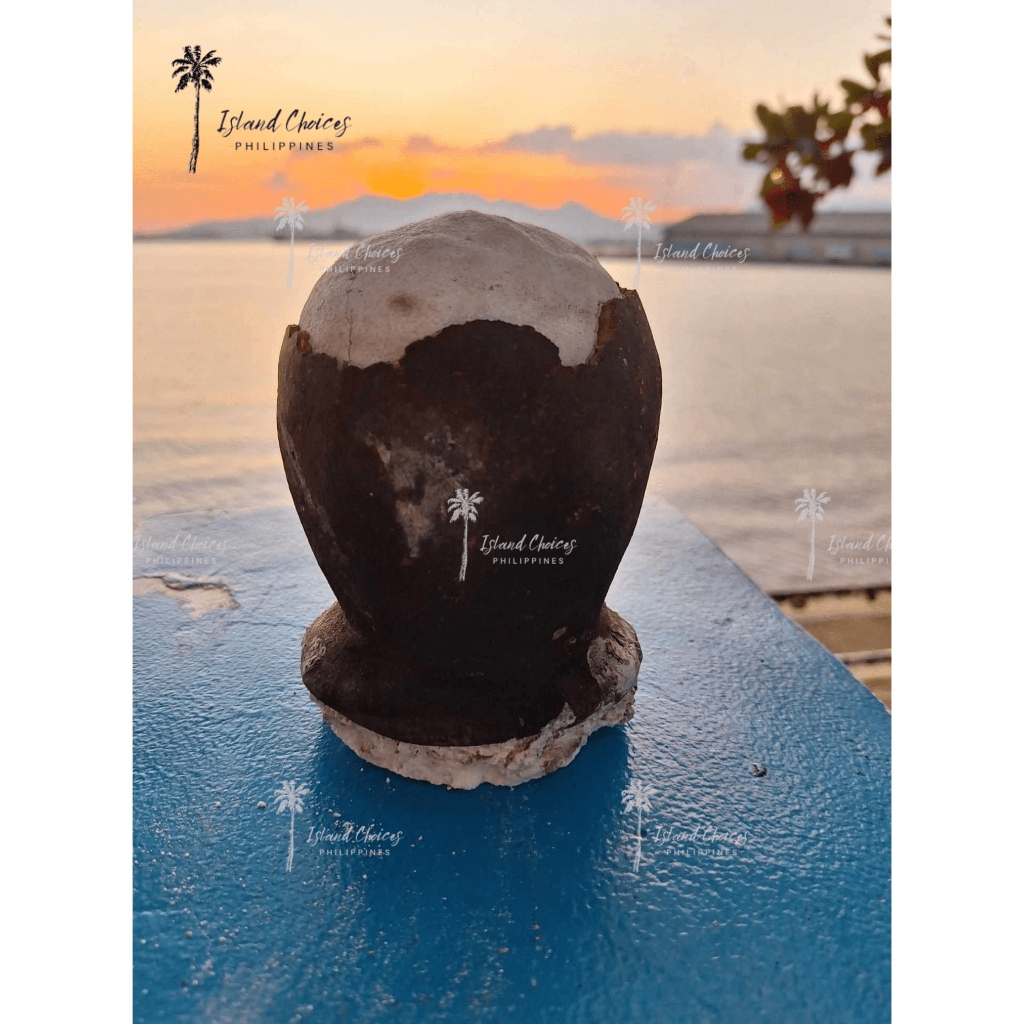 Bohol's Premium HIGH QUALITY Asin Tibuok/Tibook (cracked dinosaur egg