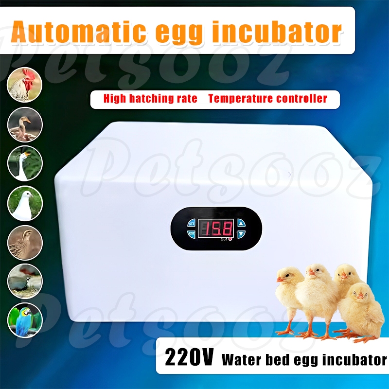 Automatic egg incubator 220V Mini Water bed incubator for eggs Shopee