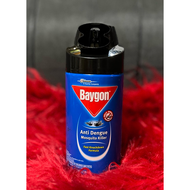 baygon insect killer spray 300ml | Shopee Philippines