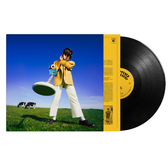 Declan McKenna- What Happened to the Beach (Vinyl, LP, Album) | Shopee ...