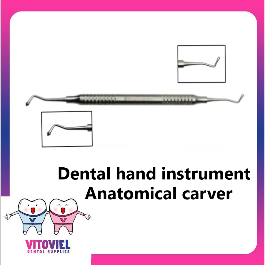 Anatomical carver dental hand instrument stainless steel Shopee