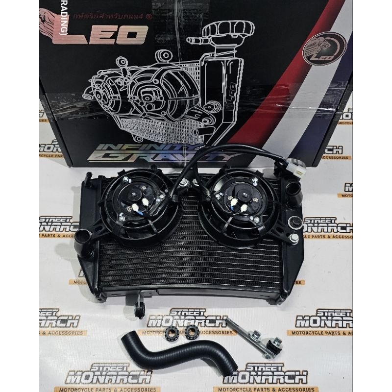 RED LEO RACING BIG RADIATOR ASSY ( CURVE ) WITH DUAL FAN BLOWER FOR ...