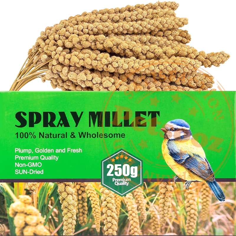Spray millet for birds Original Bird treats 250g Birds seeds food for parrots cockatiels