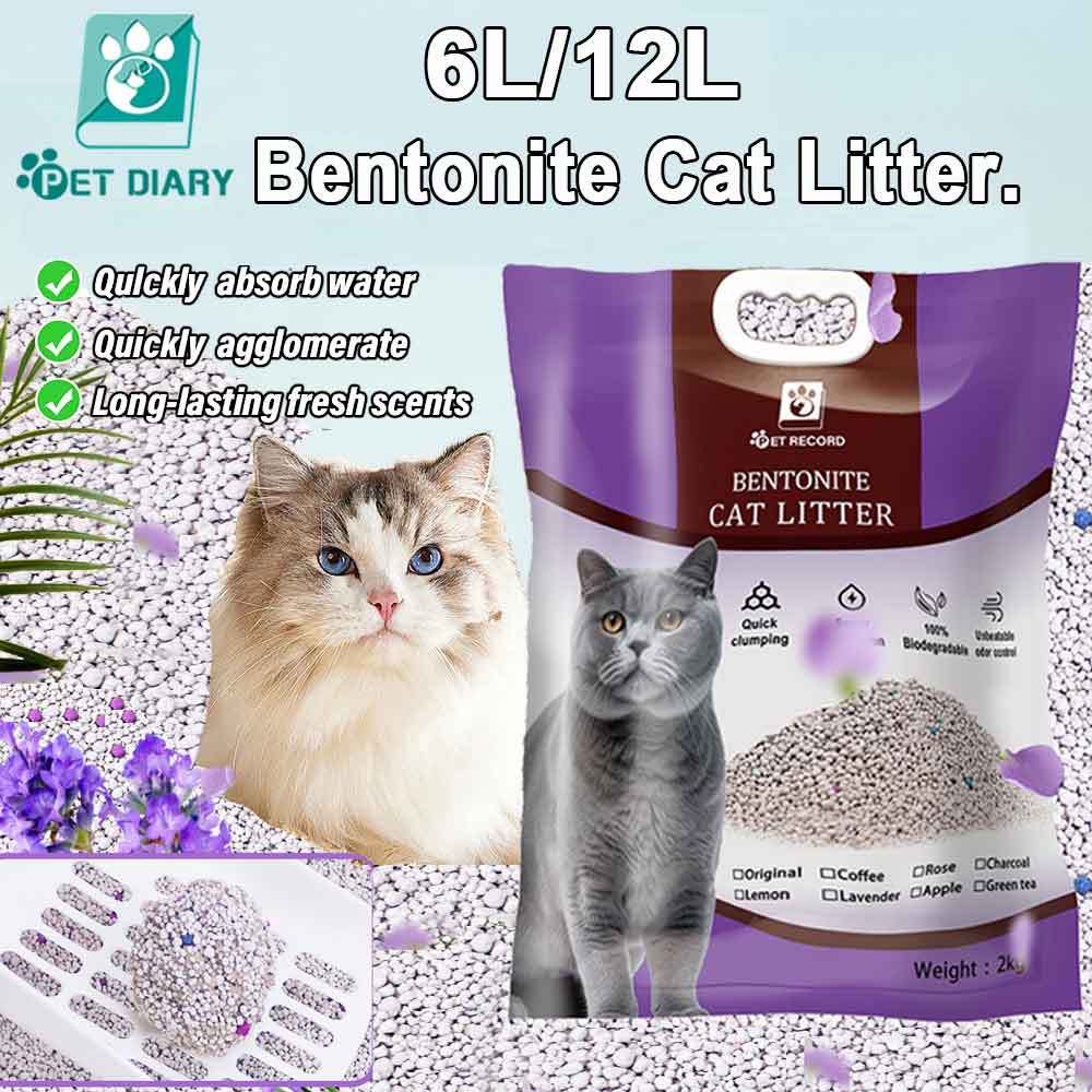 6L/12L Bentonite Cat Litter Food Grade Odour Control clumping Highly Absorbent Shopee Philippines